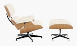 Eames Lounge Chair and Ottoman